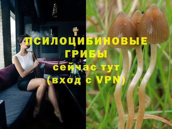 твердый Абинск