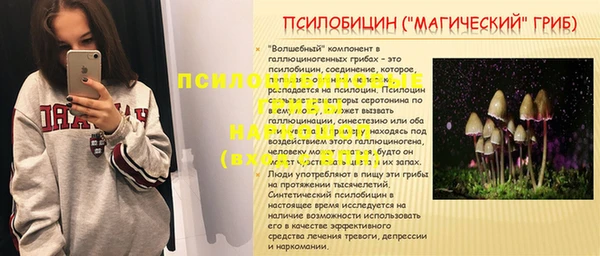 ГАЛЛЮЦИНОГЕННЫЕ ГРИБЫ Кукмор