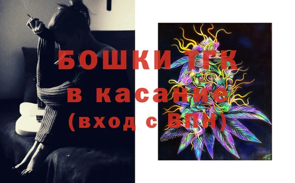 ГАЛЛЮЦИНОГЕННЫЕ ГРИБЫ Кукмор