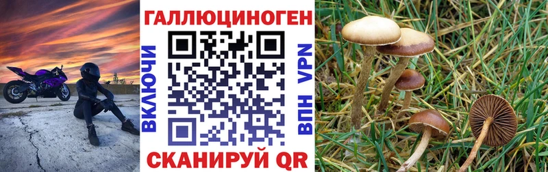 купить наркотики цена  MEGA вход  Галлюциногенные грибы Psilocybine cubensis  Липецк 